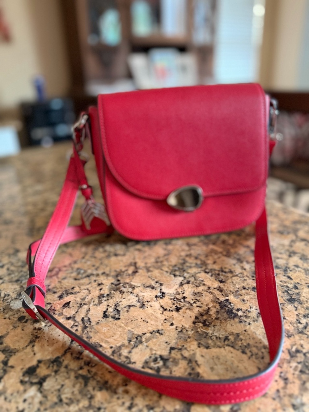 Cariuma Urca saddle style crossbody bag in red leather/ silver toned hardware